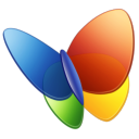 msn.com